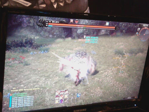 TERA: The Exiled Realm of Arborea - TERA на Gstar 2009